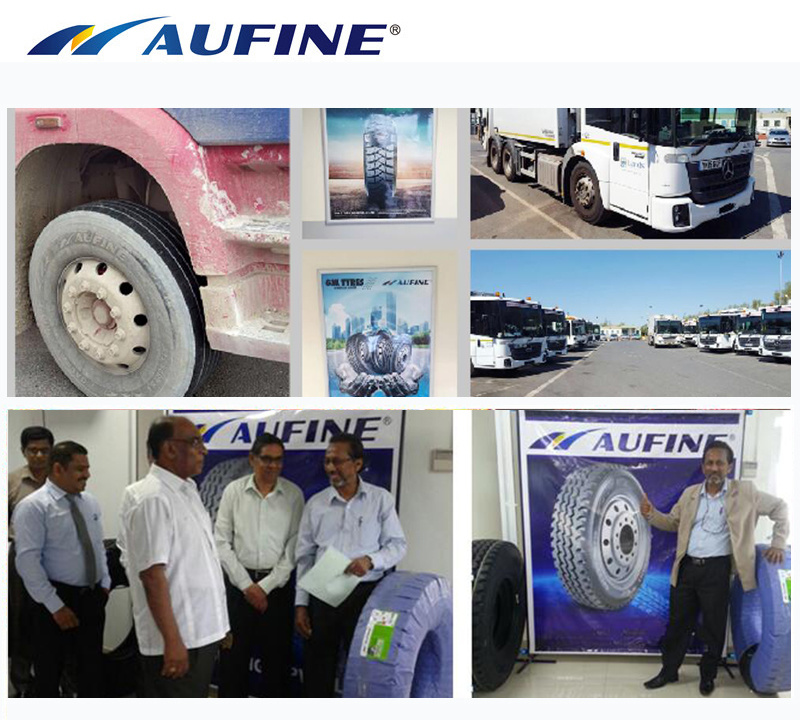 All Steel Radial Truck Tyre in 8.25r20 in Competitive Price