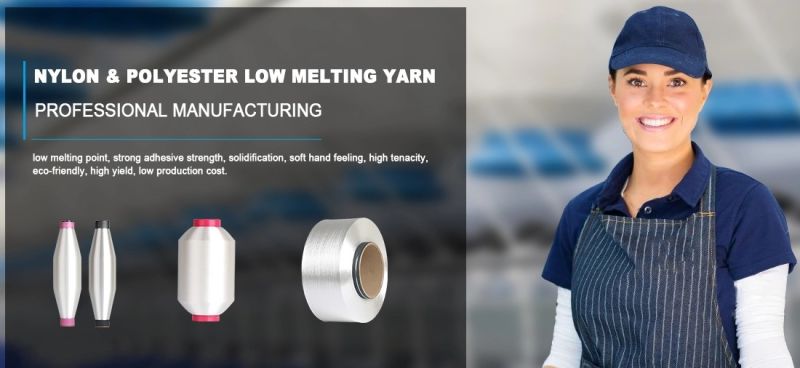 110d Garment Knitting Polyester Low Melt Yarn