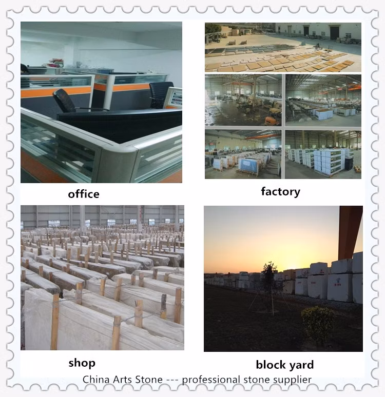 Nature Granite Marble Tiles for Floor and Sidewalk