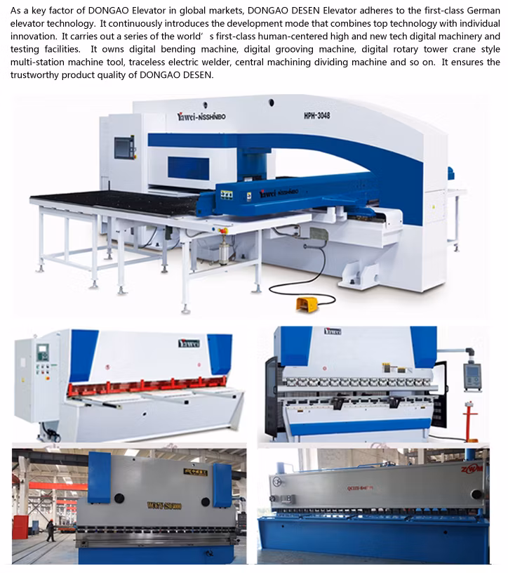 Stable&Standard Passenger Lift with Good Price