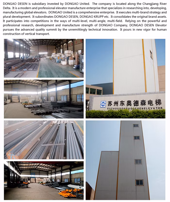 Stable&Standard Passenger Lift with Good Price