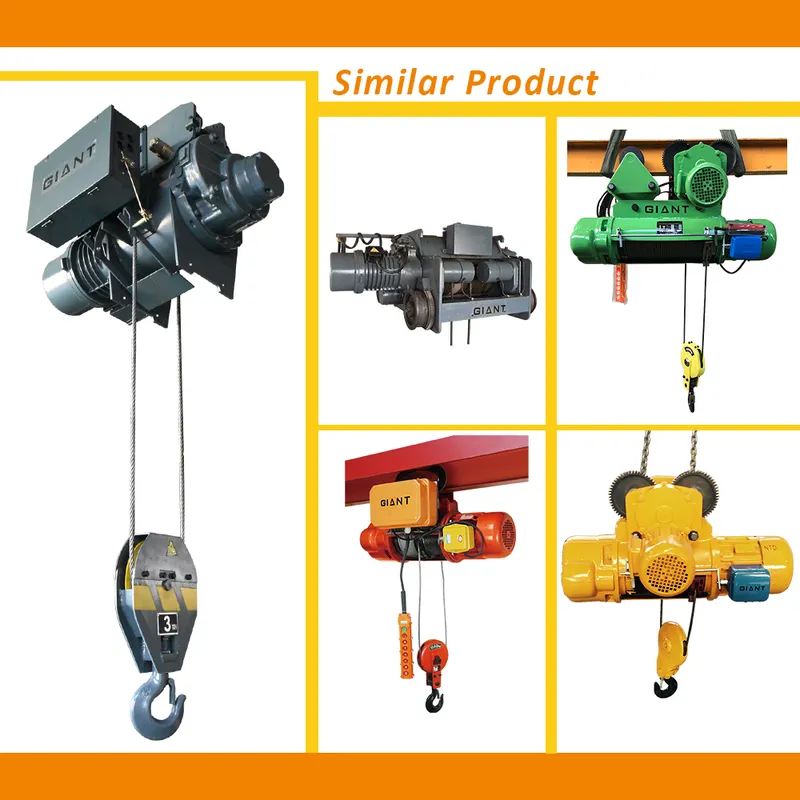 Heavy Duty 20tons Electric Wire Rope Hoist Double Track Crane with Trolley Giant Lift (SH200)