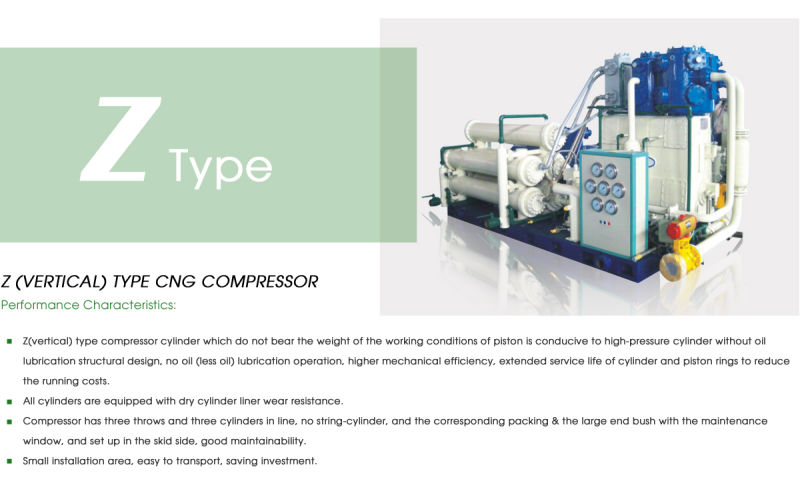 Large Air Capacity And Output Air From CNG Air Compressor