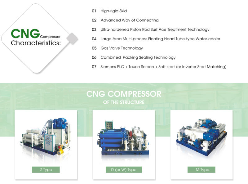 Large Air Capacity And Output Air From CNG Air Compressor