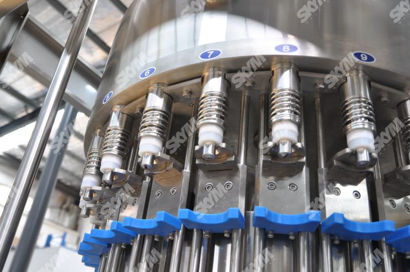 Full Auto Water Filling Machine Sachet Water Bottling Plant