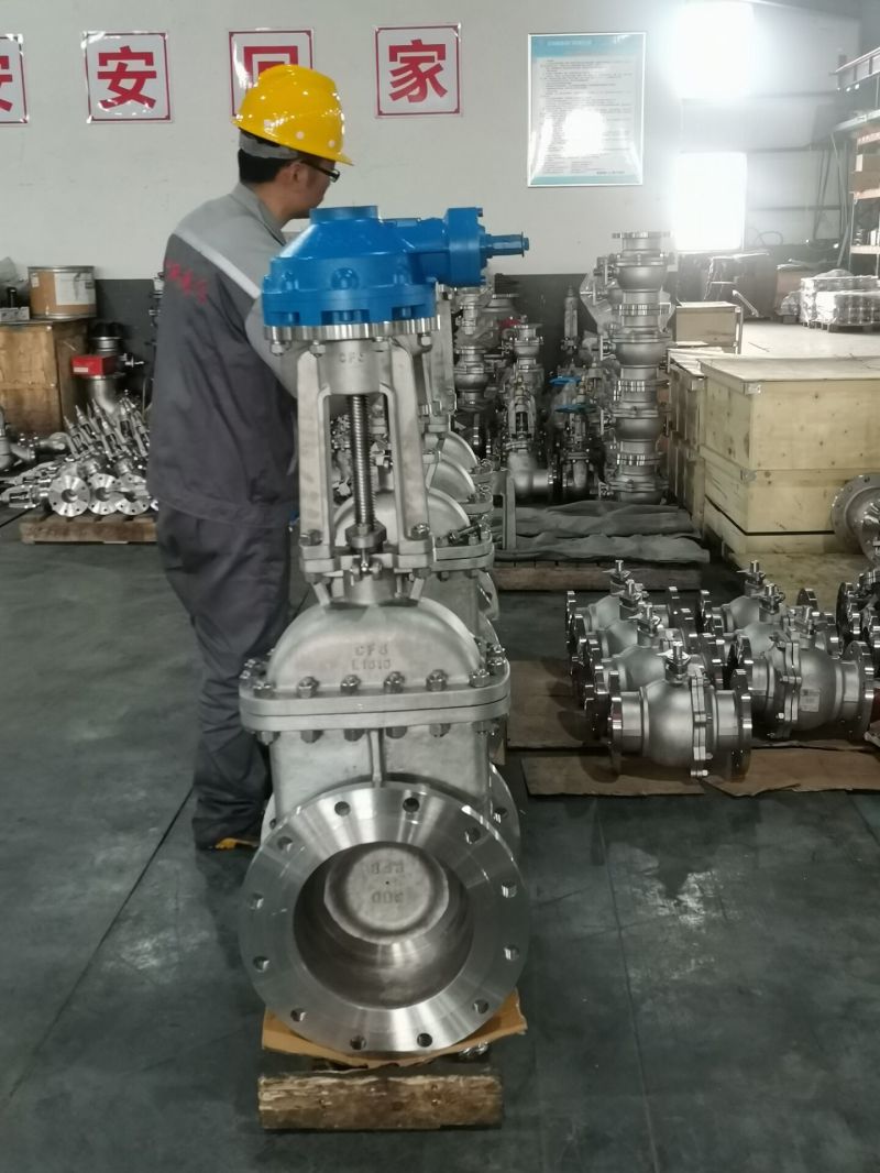 Turbine Actuated Gate Valve with Rising Stem