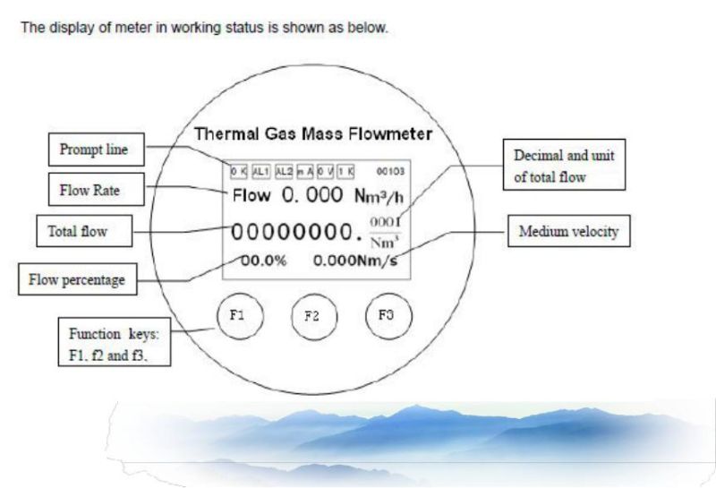 Insertion Type Thermal Mass Flow Meter for Air, Nitrogen