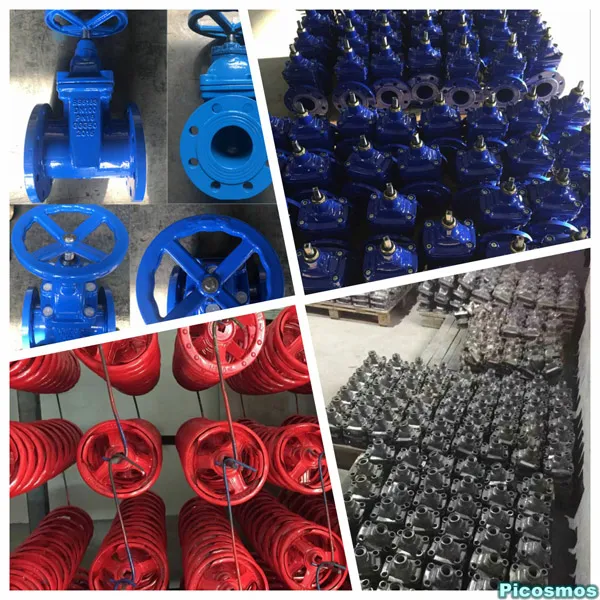 Big Size DN600~DN1200 BS5163 DIN Resilient Seated Gate Valve