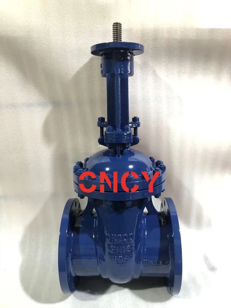 DIN Wcb F5 Series Outside Gate Valve Manufacturer