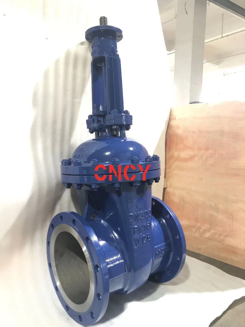 DIN3352 Wcb Pn16 Pressure DN300 Gate Valve Manufacturer