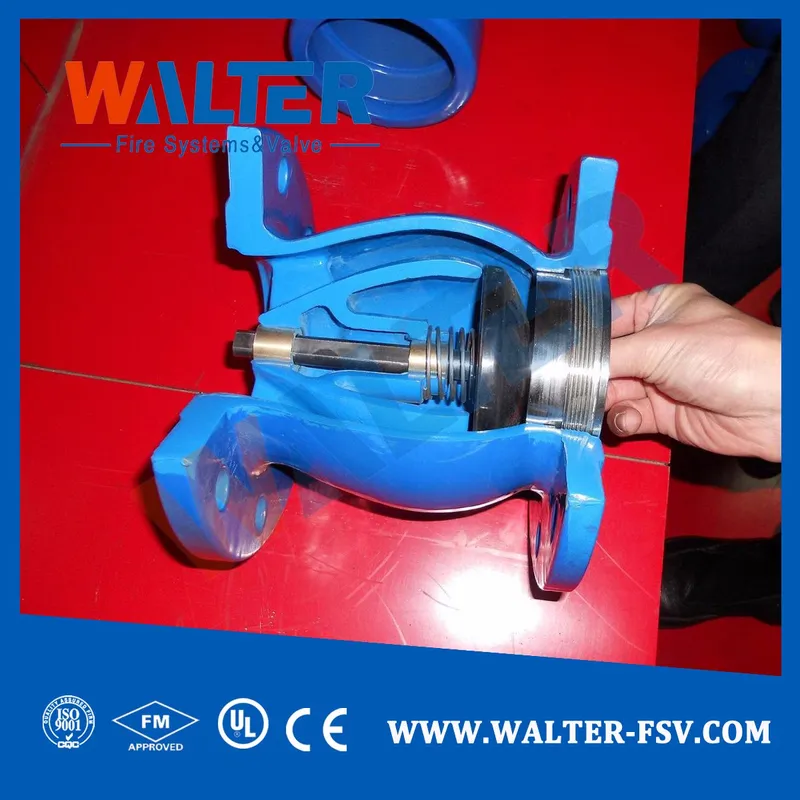 Cast/Ductile Ion Silent One-Way Check Valve