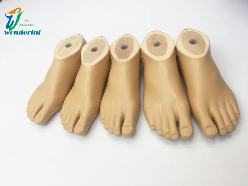 Artificial Foot Prosthetic Polyurethane Sach Foot with Wood Core