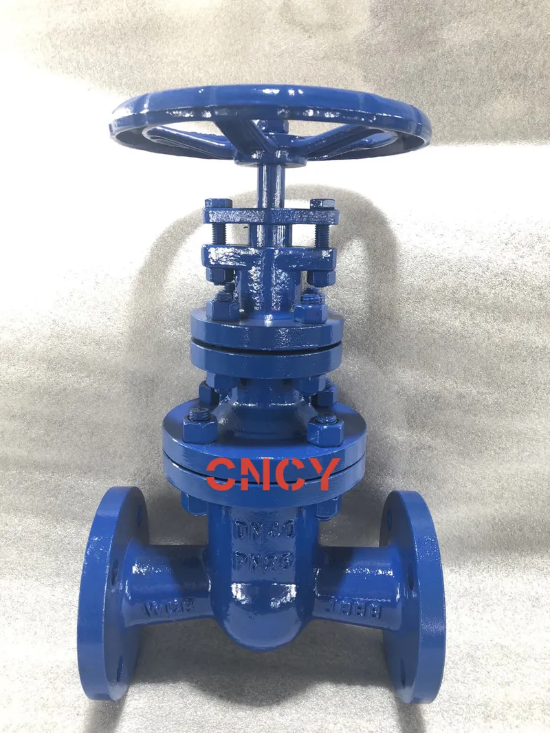 DIN F5 Series Blue Coating Non Rising Stem Gate Valve