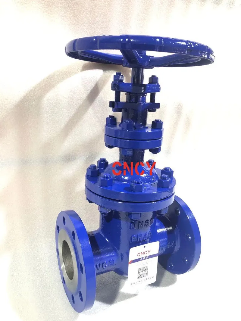 DIN F5/F7 Series Wcb Inside Gate Valve Manufacturer