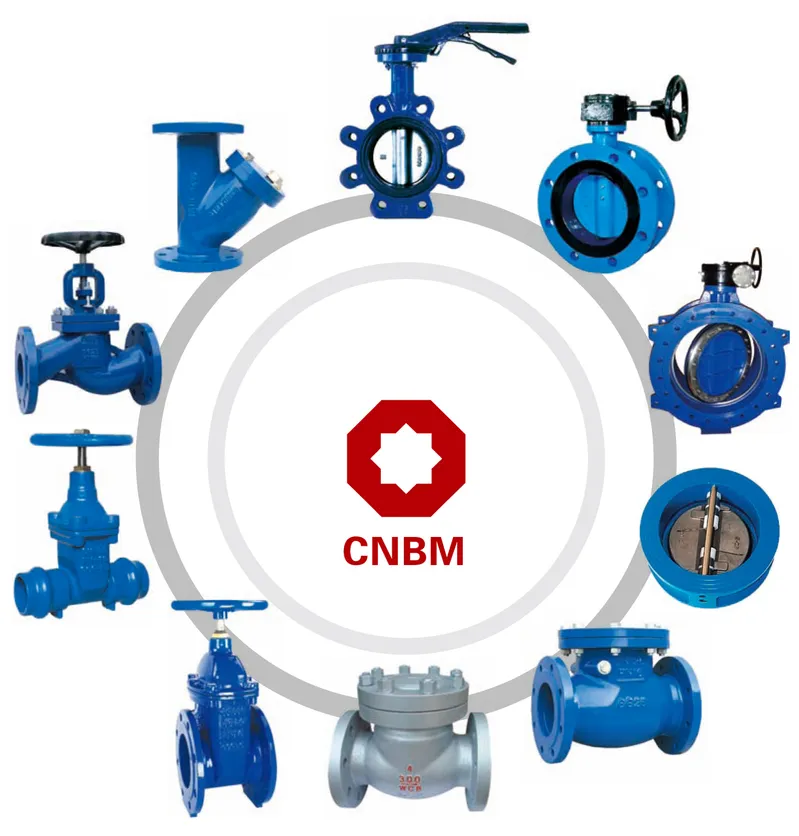 Cnbm High Quality Grooved Gate Valve