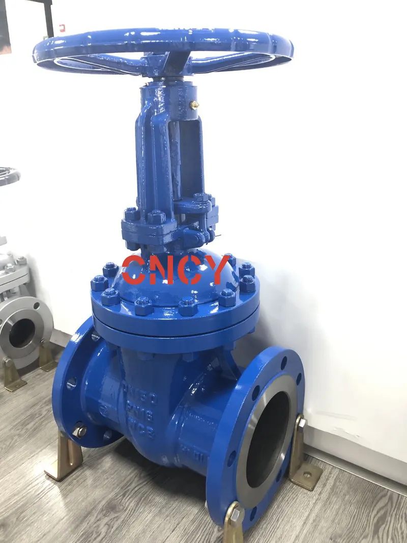 DIN Wcb F5 Series Outside Gate Valve Manufacturer