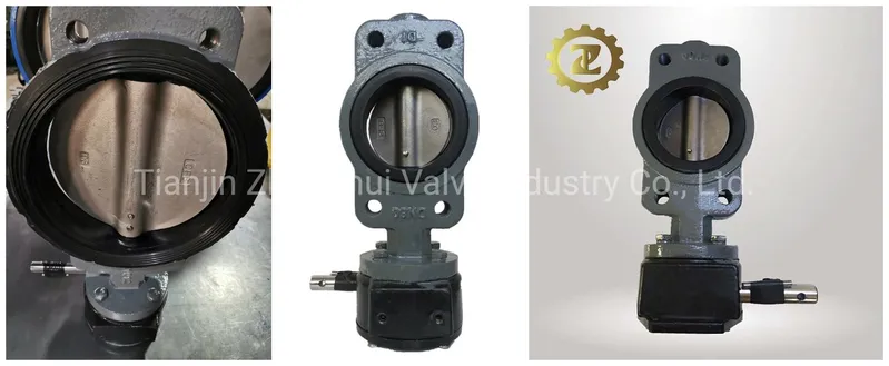 Cast Iron Semi-Lug Wafer Butterfly Valve with Worm Gear Actuator