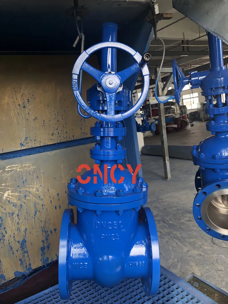 DIN F5 Series Blue Coating Non Rising Stem Gate Valve