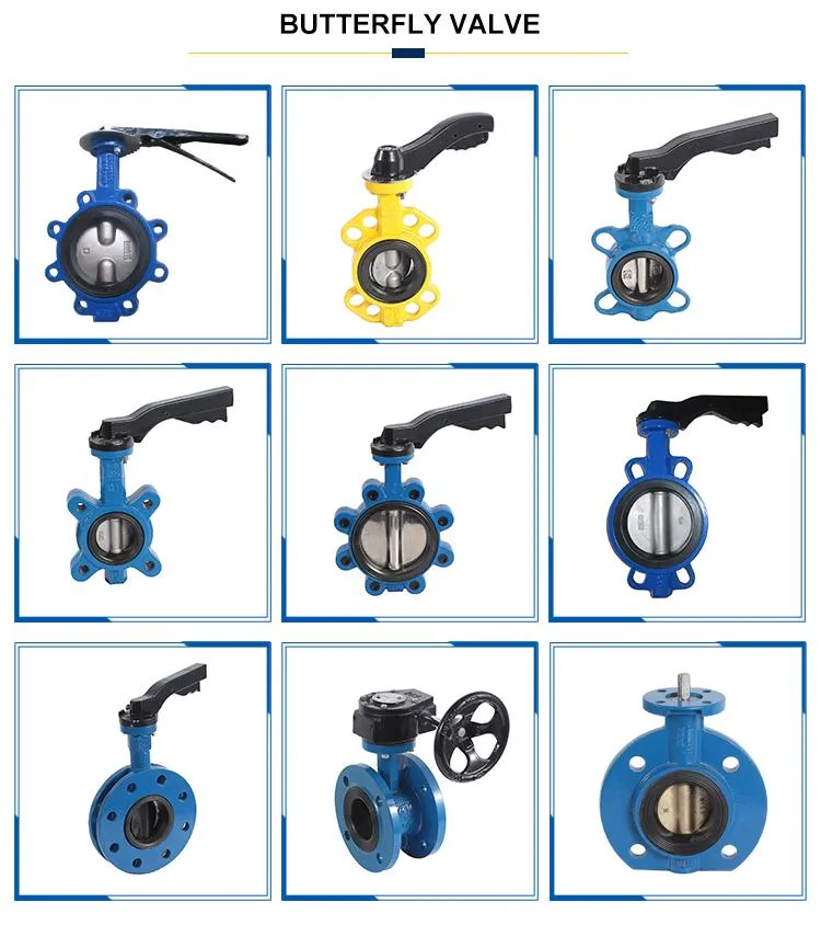 Lug Butterfly Valve Splined with Worm Gear