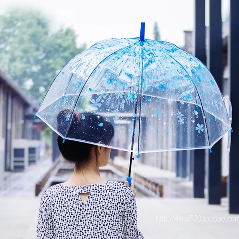 Fashion Colorful Poe Umbrella Straight Clear Umbrella Transparent Umbrella