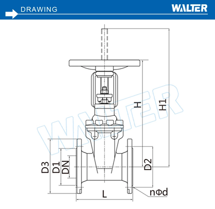 DIN RS Flexible Gate Valve