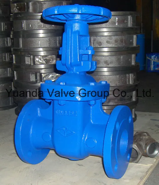 DIN Cast Iron Gate Valve F5 (Z41T/H-F5)