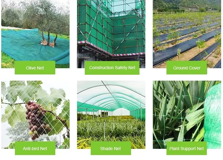 Plastic Green Color Olive Catching Net for Farm