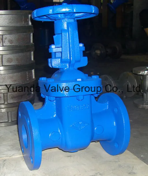 DIN Cast Iron Gate Valve F5 (Z41T/H-F5)