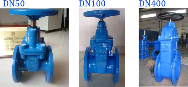 Big Size DN600~DN1200 BS5163 DIN Resilient Seated Gate Valve