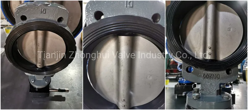 Cast Iron Semi-Lug Wafer Butterfly Valve with Worm Gear Actuator