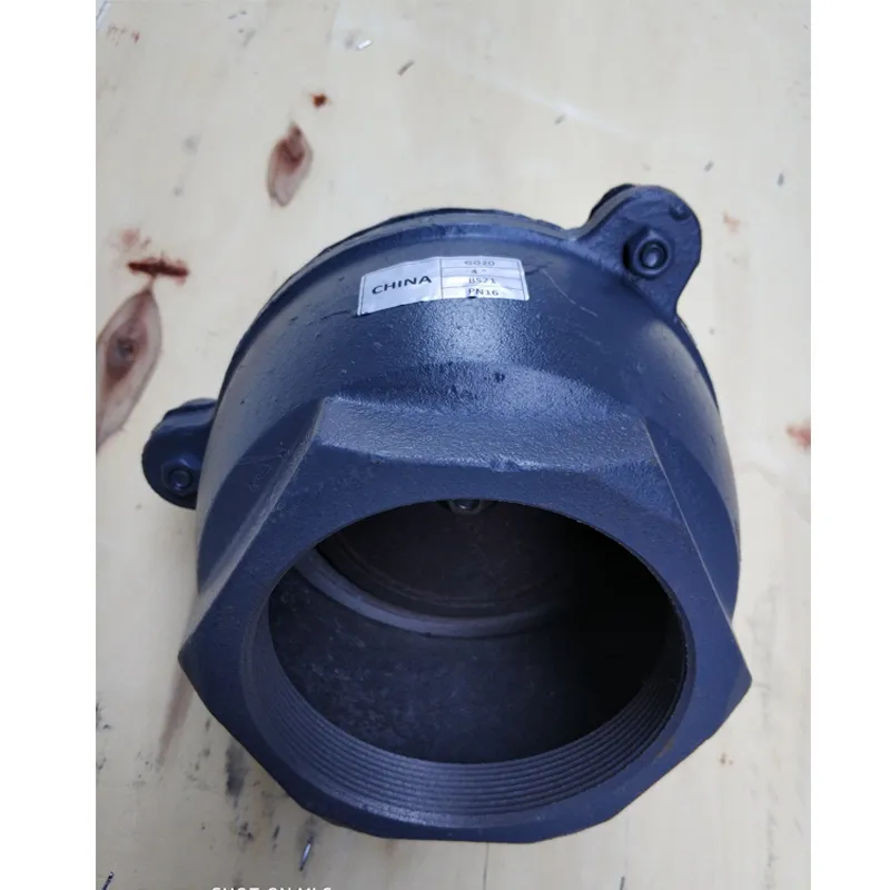 DIN BS ASTM Standard Pn16 Gg20 Foot Valve