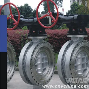 Gear Operation Wafer/Lug/Flanged High Performance Butterfly Valve