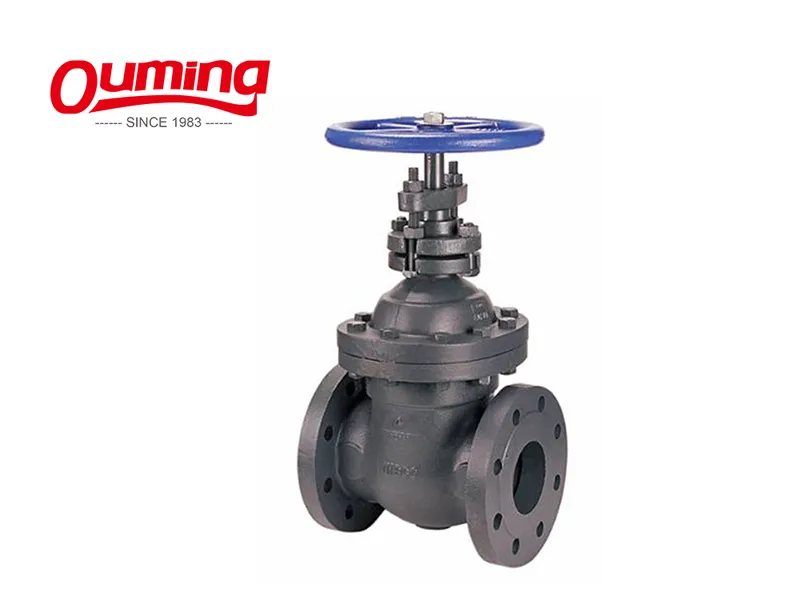 ANSI Standard Flange Assembly Drawing Gate Valve