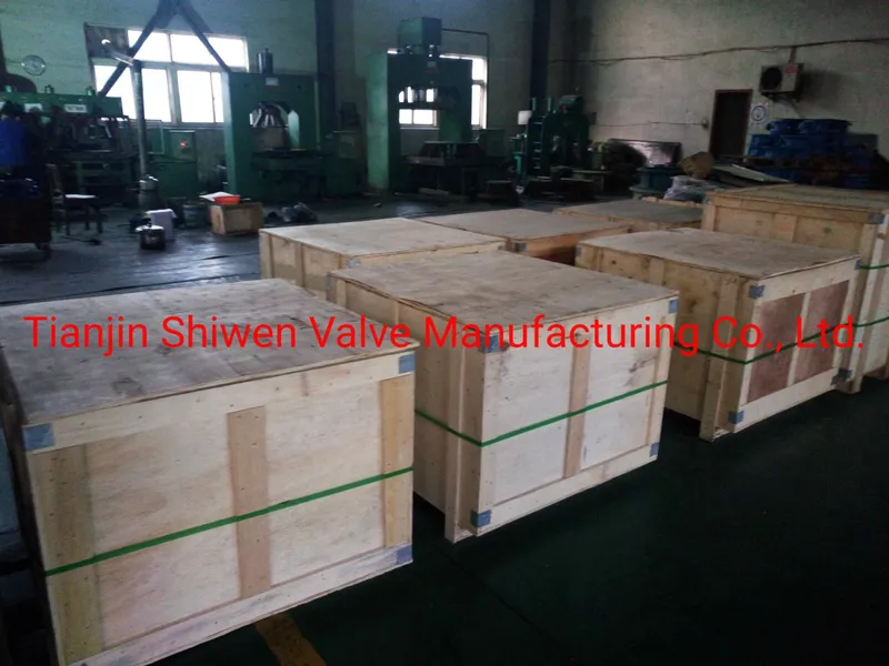 Ci/Di/Wcb/CF8/CF8m Wafer Butterfly Valve with EPDM/PTFE Seat