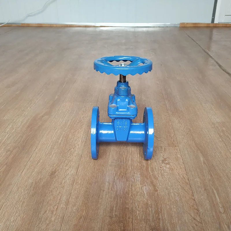 BS5163 Cast Iron Non Rising Pn16 100mm Nrs Gate Valve