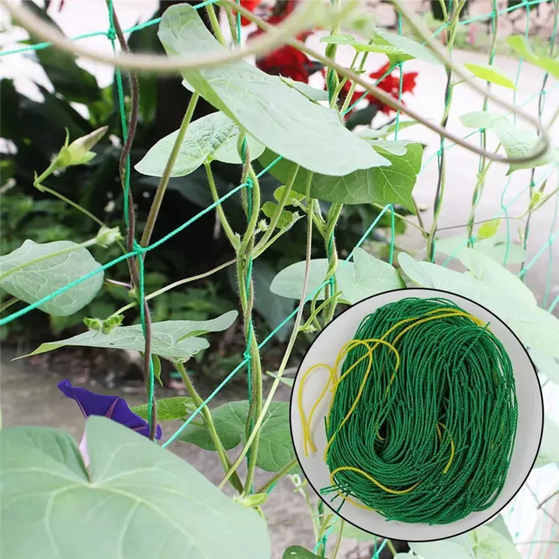 Cucumber, Bitter Gourd Netting Climbing Plant Support Trellis Netting