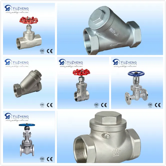 Ss 304/316 API Swing Check Valve