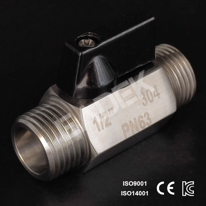 Ss Male Threaded Mini Stainless Steel Valve Manufacturer