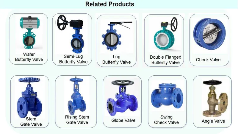 Concentric Industrial Worm Gear CF8 Disc Di Semi-Lug Butterfly Valve