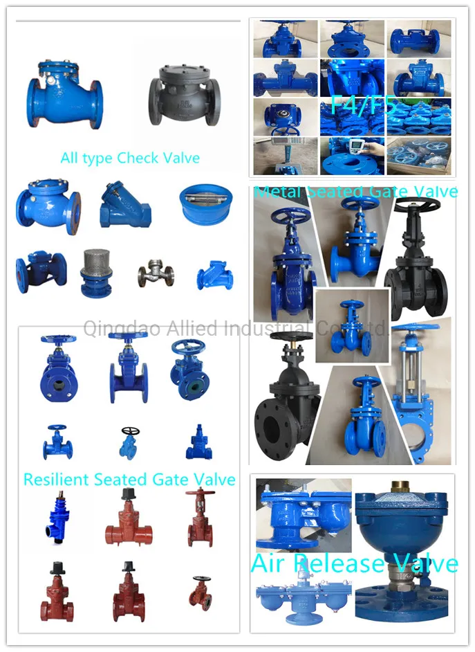 RS Type F5 Gray Cast Iron Metal Seated Gate Valve