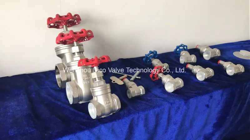 F/F Stainless Steel Gate Valve with Blue Handle Wheel