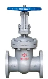 ANSI SS Gate Valve 150LB - 900LB