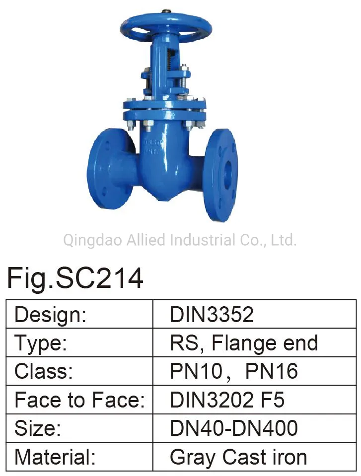 RS Type F5 Gray Cast Iron Metal Seated Gate Valve