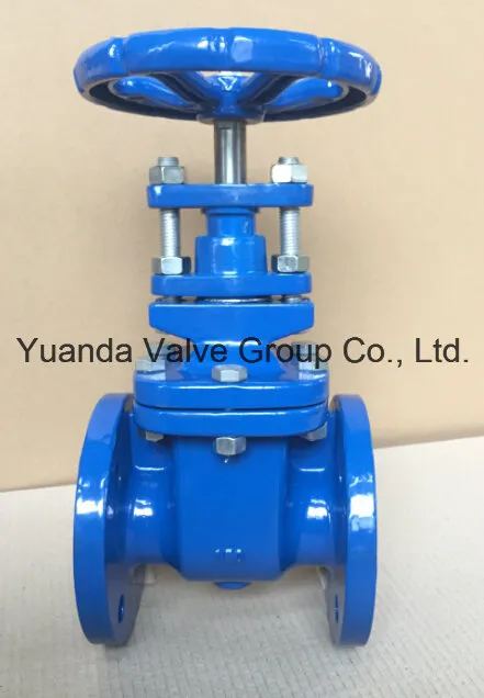 DIN Cast Iron Gate Valve F5 (Z41T/H-F5)