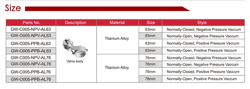 Grwa High Quality SS304 Vacuum Exhaust Valve