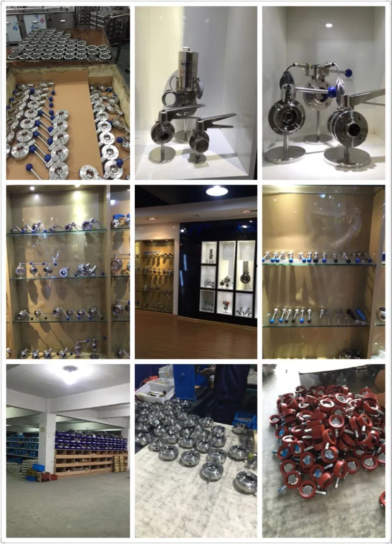 Sanitary Valve Stainless Steel Valve Pneumatic 3A Ball/Butterfly/Check/Diaphragm/Divert Valve
