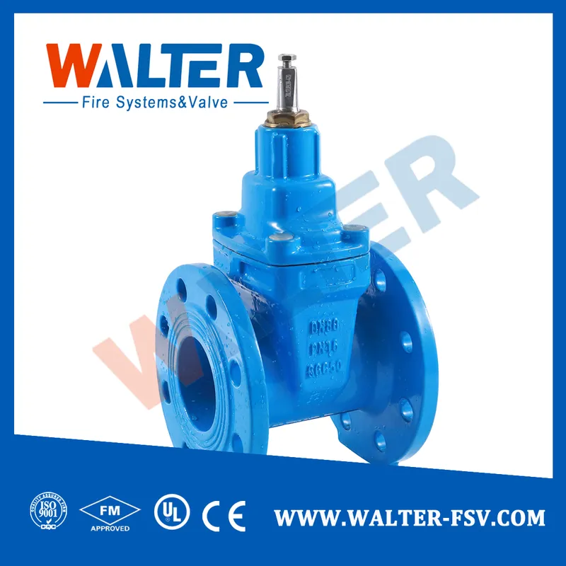 BS5163 Cast Iron Resilient Nrs Gate Valve