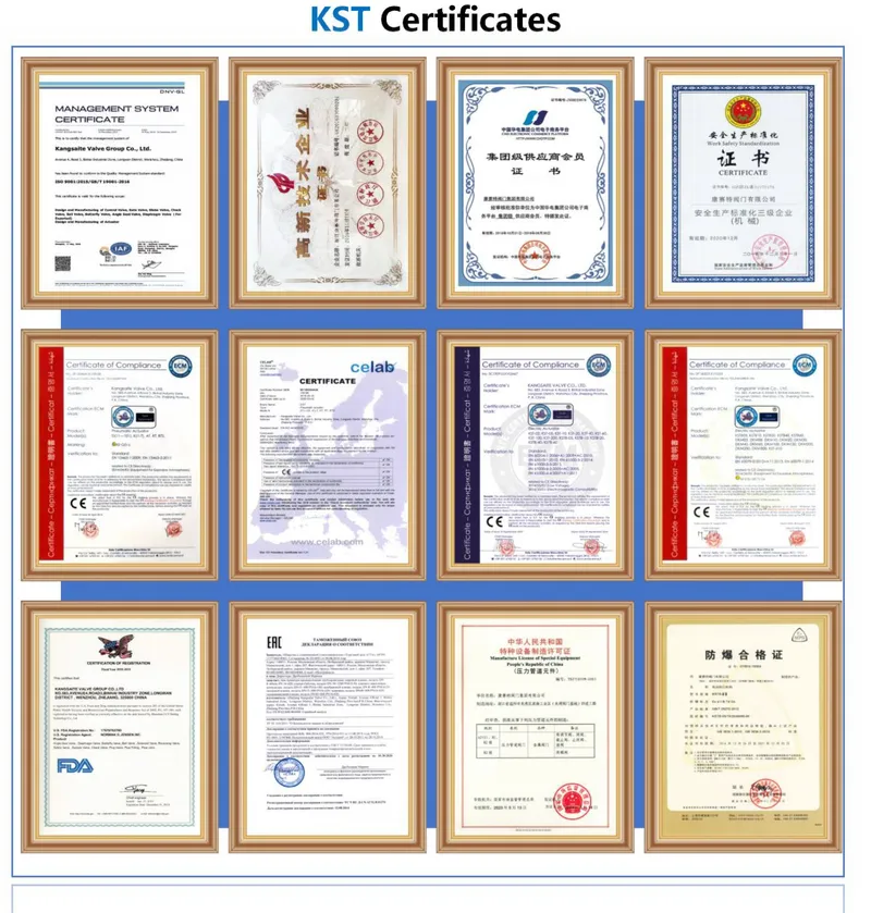 Manual/Pneumatic/Electric Actuated Wafer/Flange/Lug Butterfly Valve