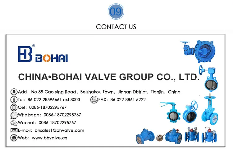 Durable in Use Cast Steel Gate Valve with Professional Techniques