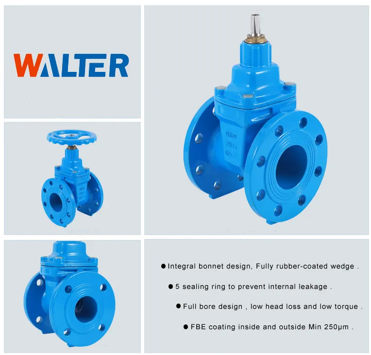 Water Use Flange Connected Nrs Gate Valve